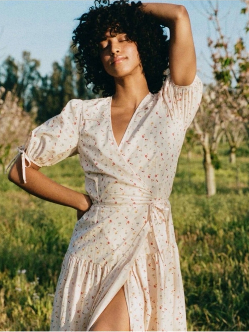 Christy Dawn Augusta Midi Dress in Carnelian Aster Garden - Picture 2 of 16